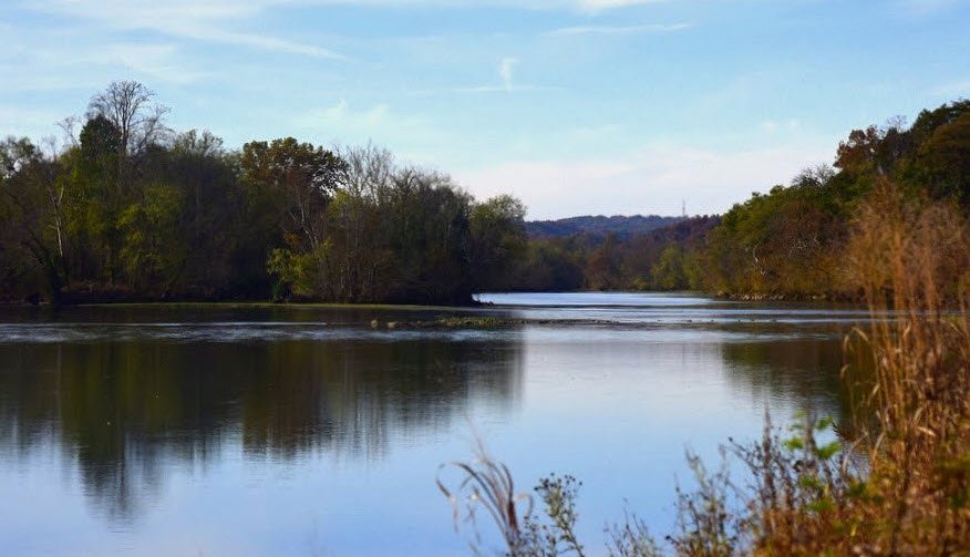 Seven Islands State Birding Park, Tennessee, USA